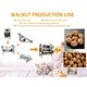 Walnuts Kernel Extraction Line